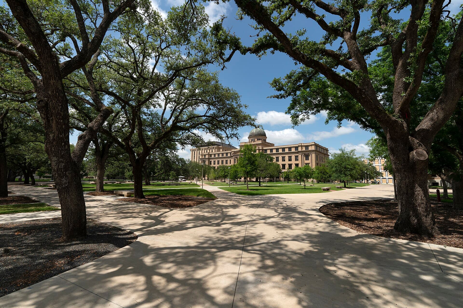 Texas A&M University